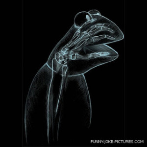 Funny X-Ray Photo Images Kermit the Frog