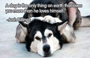 Funny & Famous Quotes about Dogs (2)