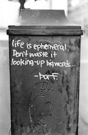 Life is ephemeral, Don't waste it looking up Big words.