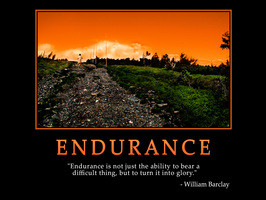 ... endurance-direct-endurance-movie-endurance-quotes-endurance-training