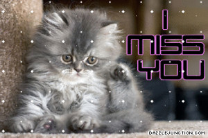 Miss You Cat Graphic