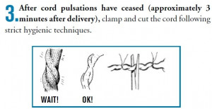 Delayed Cord Clamping, Placenta Pills and a Water Birth Oh My!!