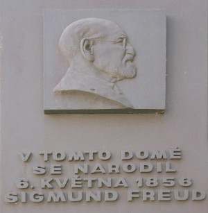 or sigmund freud cocaine quote competent physician an sigmund freud ...