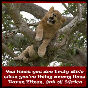 You know you are truly alive when you’re living among lions ...