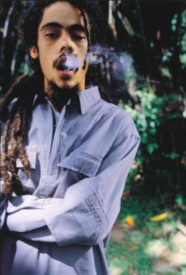 Damian Marley's quote #3