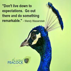 Biz Owners: Want more inspiration? I share a new Peacock Pic each week ...