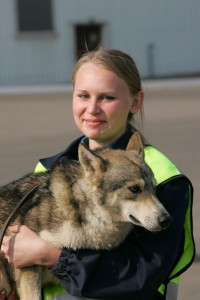 The Sulimov dog is a jackal-dog hybrid created in Russia specifically ...
