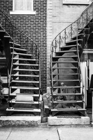 Jekyll And Hyde Duality Quotes