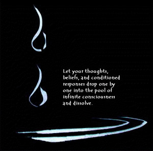 Published by Suhasini Srihari at 19:11 2 comments: