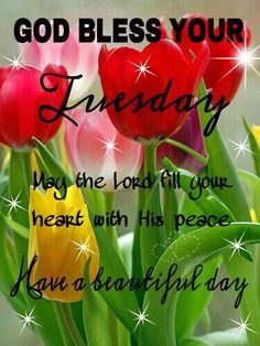 tuesday blessings more terrif tuesdays prayer tuesdays blessed happy ...