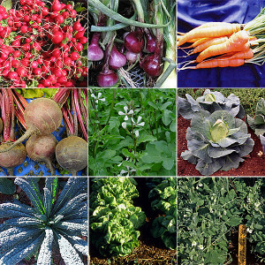 Cool-Season Vegetable Sampler