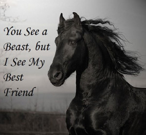 this quote before and I believe it applies to more than just horses ...