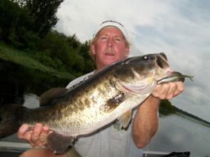 Tom Flynn with another BIG Panasofkee Bass