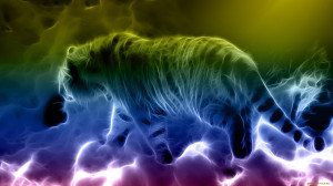 ... animals cats tiger rainbow predator wildlife wallpaper background