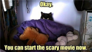 Okay. You can start the scary movie now