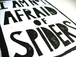Scared Of Spiders Quotes I am not afraid of spiders