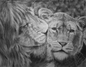 Lions In Love Lion love by martenator