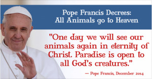 Sad Dogma: Pope Francis Did Not Say All Dogs Go to Heaven