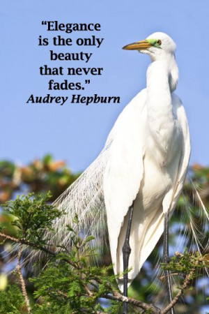 Found on examiner.com