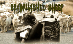 Brainwashed Sheep - Time to Wake Up!