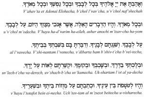 Torah quote #1
