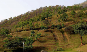 Obudu Cattle Ranch