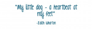 Inspirational Dog Quote #2