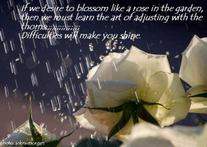 If we desire to blossom like a rose in the garden