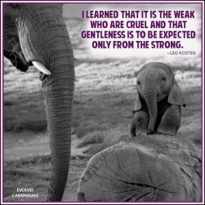 Love elephants :)
