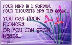 ... garden, your thoughts are the seeds ,you can grow flowers,or you can