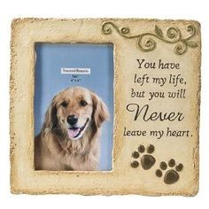Pet Loss: Saying Goodbye To Your Pet ,I will NEVER go through the loss ...