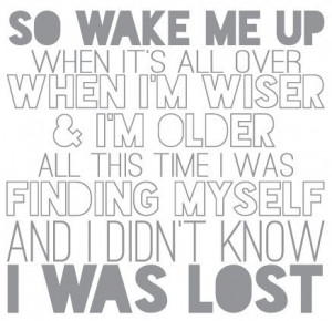 Wake me up ~ Avicii