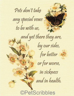 Sympathy Quotes And Poems Pictures