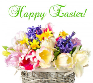 Stock image of 'Happy Easter! tulips, narcissus and hyacinth colorful ...