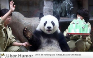 Panda’s birthday