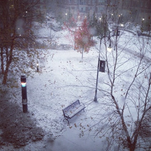 Free Study Tools: College | Videos | What is Shmoop? | Subscribe Now