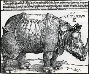 Even though Durer created this print without ever having seen a ...