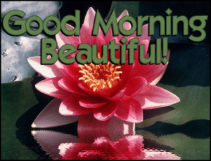 Good Morning Beautiful | Mania scraps | Mania Wallpapers | Fastival ...