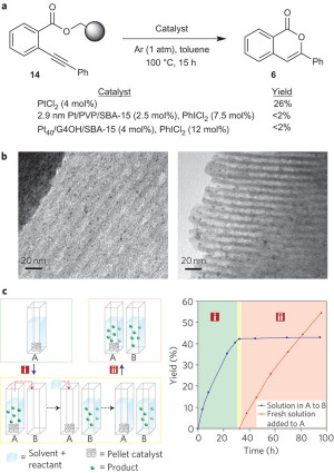 Heterogeneous And Homogeneous Catalyst Examples