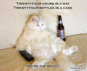 Medical, Alligator, Badgers, Redneck Cat and Funny Kid