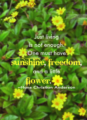 60 living life quotes sunshine freedom and flower picture quotes