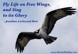 Fly Life on Free Wings, and Sing to its Glory.