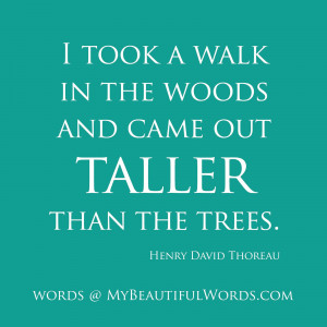 Taller than the Trees...