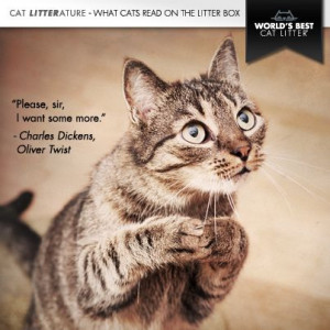 Cat, kitten, pleading, quote: Charles Dickens, Oliver Twist, cute ...