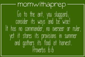 Preparedness Quotes | Mom with a Prep
