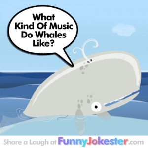 Funny Whale Jokes