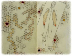Lynne Hoppe's honey comb drawing Honeycombs Watercolor, Bees, Tatting ...