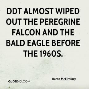 Falcon Quotes