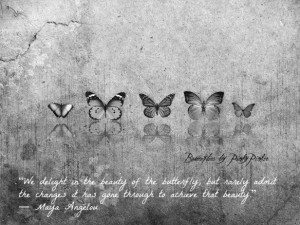 Butterflies Quote Maya Angelou - metaphor about change