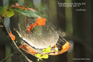 the world one Slice of Wisdom at a time! Please share your slice ...